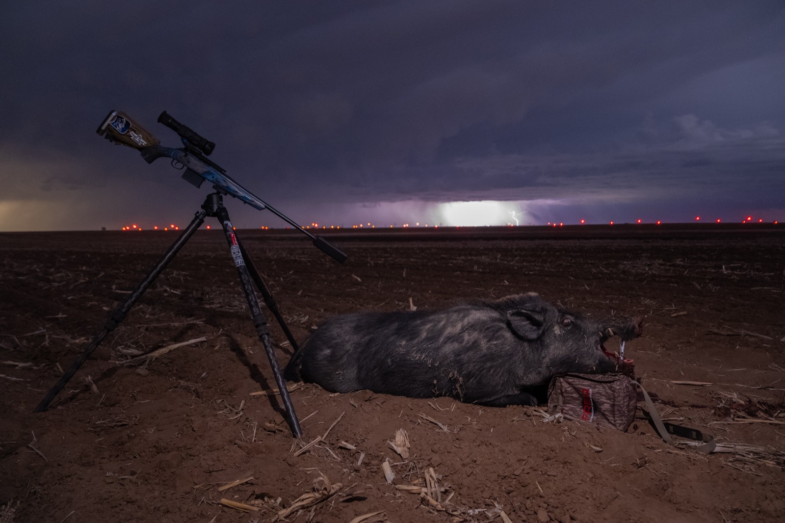 Wild hog taken with the FREQ ultrasonic game call, rifle on tripod under a lightning storm near Lubbock, Texas